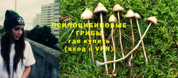 гидра Армянск