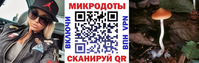 Псилоцибиновые грибы мухоморы  цена наркотик  Петровск-Забайкальский 