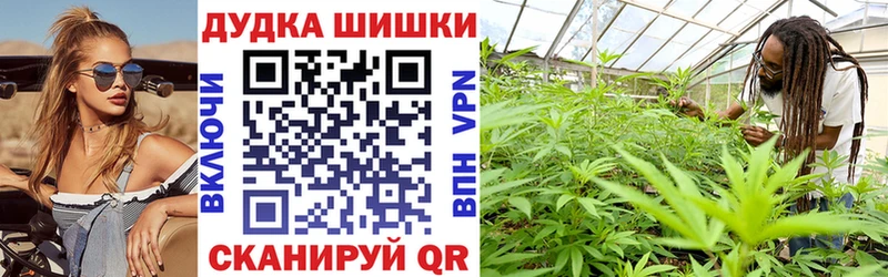 Бошки Шишки OG Kush  как найти наркотики  Петровск-Забайкальский 